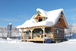 seamonster tinyhomes services